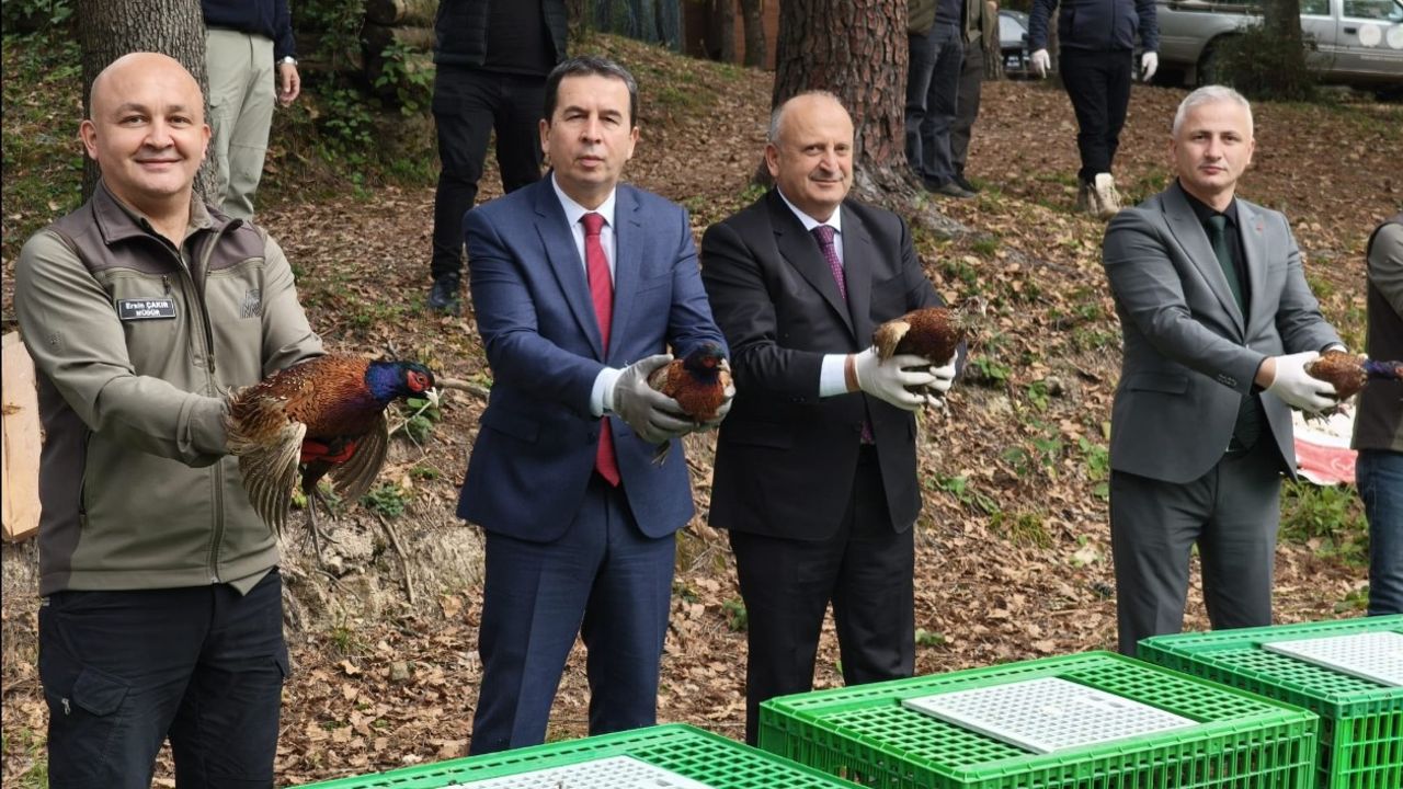 KOKARCANIN HESABINI SÜLÜNLER SORACAK