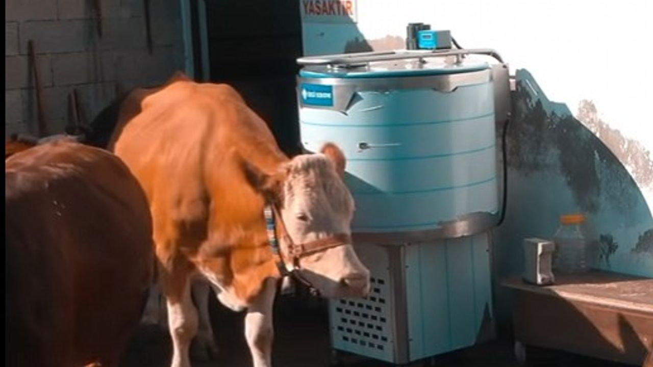 SÜT ÜRETİCİSİNE DESTEK SÜRÜYOR