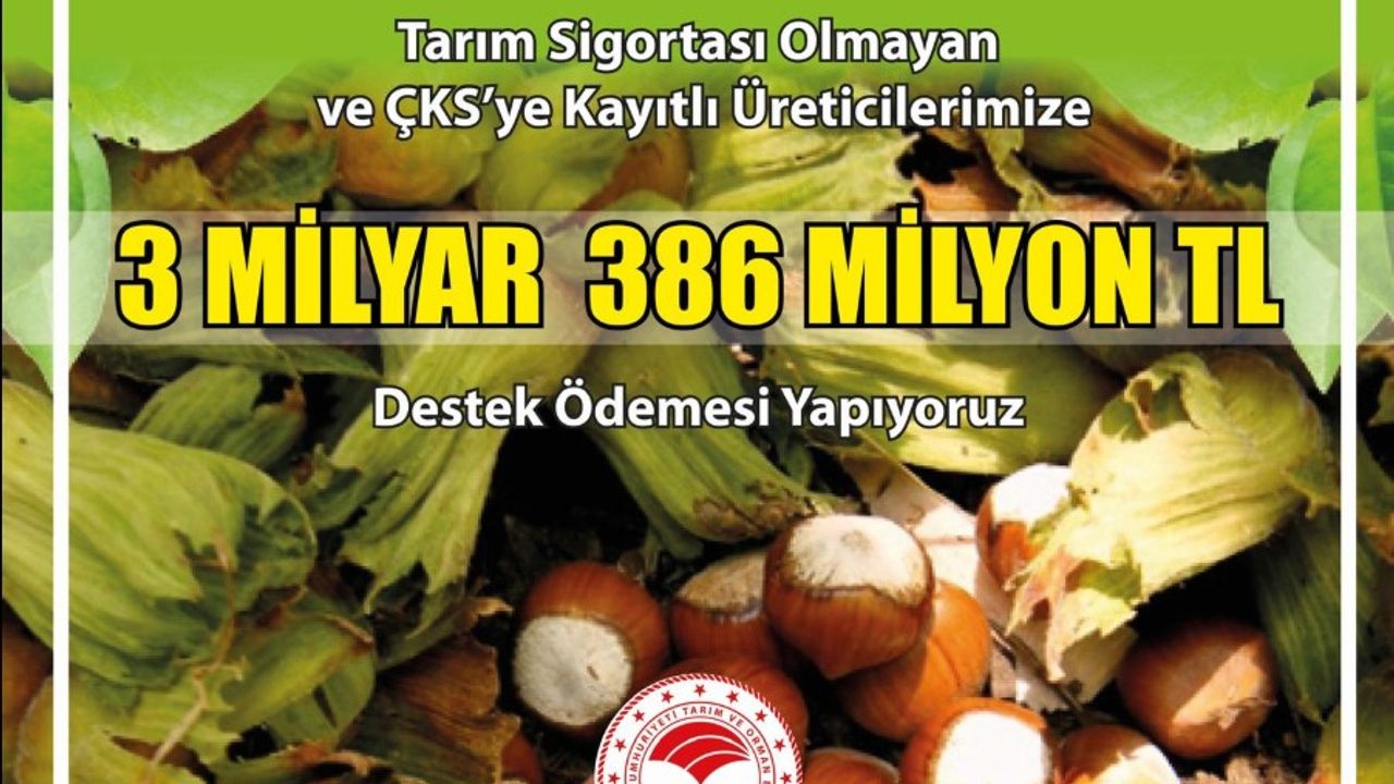 ÜRETİCİLERE 3,386 MİLYAR TL DESTEK ÖDEMESİ