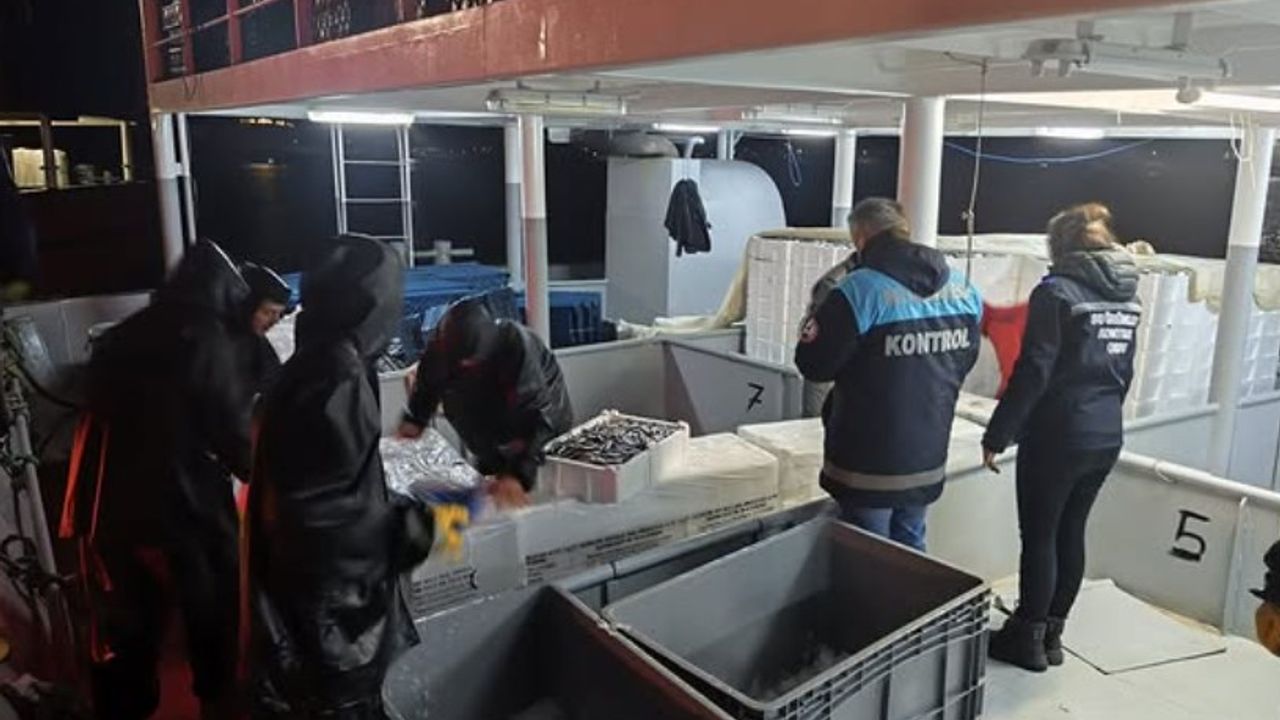 HAMSİ AVCILIĞI DENETİMLERİ DEVAM EDİYOR