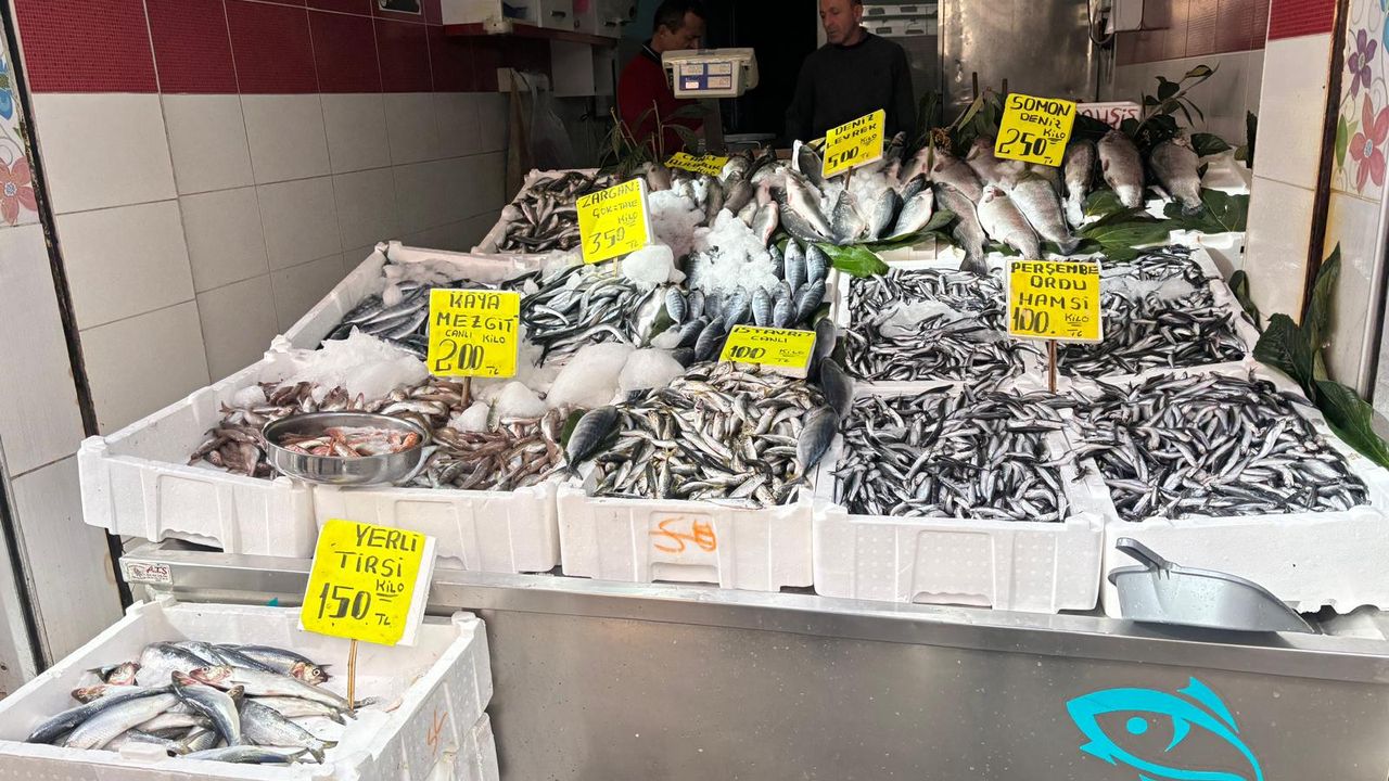 ORDU’DA BALIK FİYATLARI GÜNCELLENDİ
