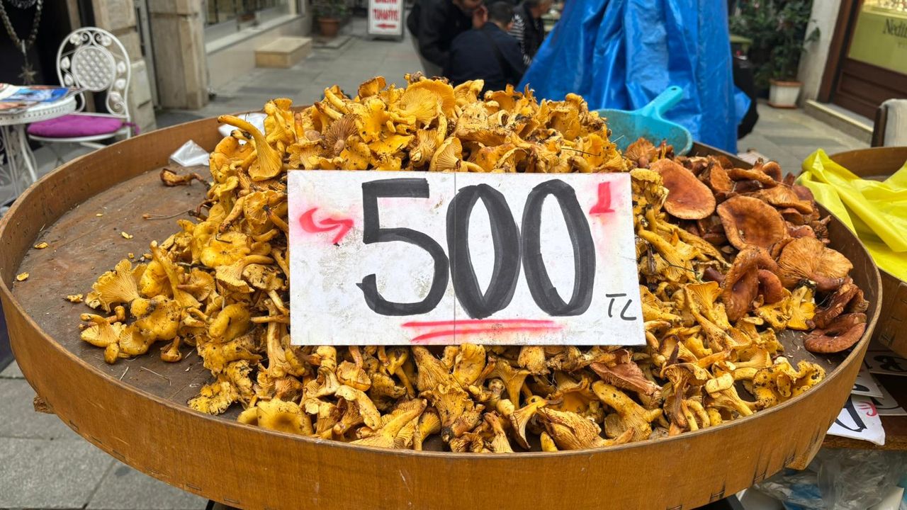 FINDIK DÜŞÜYOR, KİRMİT UÇUYOR