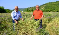BÜYÜKŞEHİR BESİCİLERİN YÜZÜNÜ GÜLDÜRDÜ