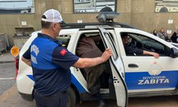 ZABITA EKİPLERİNDEN 3 İLÇEDE DİLENCİ OPERASYONU