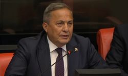 SEYİT TORUN’DAN MECLİS’TE FINDIK TEPKİSİ: “FINDIĞA İHANET EDİLİYOR”