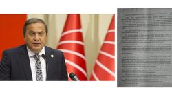 "FINDIKTA KARTEL DÖNEMİ SONA ERDİ"
