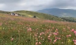 “SERİNLİĞİN VE HUZURUN ADRESİ ÇAMBAŞI İLE TURNALIK”