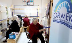 ORMEK, MESLEK VE SANAT EĞİTİMİNDE ÖNCÜ