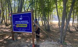 FATSA BELEDİYESİ’NDEN MESİRE ALANLARINA ÇEVRE DUYARLILIĞI MESAJI