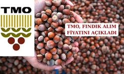 TMO 2025/2026 FINDIK ALIM FİYATLARINI AÇIKLADI