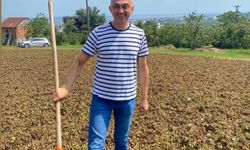 PROF. DR. ENGİNYURT’TAN FINDIK HASADI UYARISI