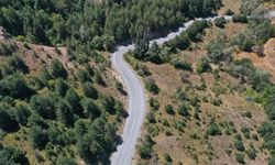 MESUDİYE’DE 12 KİLOMETRELİK GRUP YOLU ASFALTLANIYOR