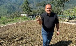 DEMİREL ;“FINDIĞIN DEĞERİNİ BİZ BELİRLEMELİYİZ”
