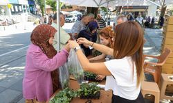 ÜRETİCİLER KIŞ SEBZELERİNİ KENDİ ÜRETECEK