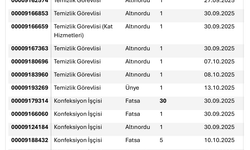 İŞKUR ORDU’DA BU HAFTANIN GÜNCEL İŞ İLANLARINI YAYINLADI