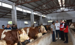FATSA’DA AŞI SEFERBERLİĞİ