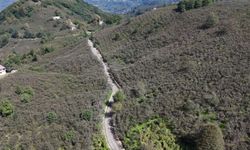 ÇAMAŞ ÇAVUŞBAŞI YOLU ASFALTLA BULUŞTU