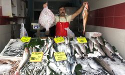 BALIK FİYATLARI ORDU TEZGÂHLARINDA DİKKAT ÇEKİYOR