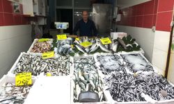 ORDU’DA BALIK TEZGÂHLARINDA GÜNCEL FİYATLAR