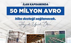 TKDK’NIN 10. BAŞVURU ÇAĞRI İLANI YAYIMLANDI
