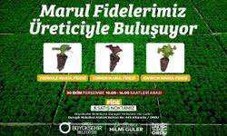 ORDU’DA MARUL FİDESİ DAĞITIMIYLA ÜRETİCİYE DESTEK