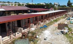 ORDU’DA SAHİPSİZ SOKAK HAYVANLARI İÇİN BÜYÜK ADIM