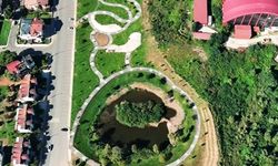 ORDU’DA YEŞİL DEVRİM