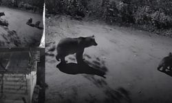 AYILAR MAHALLEYE İNDİ