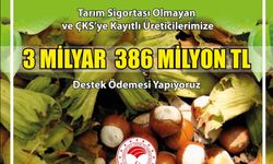 ÜRETİCİLERE 3,386 MİLYAR TL DESTEK ÖDEMESİ