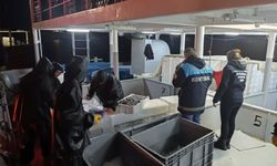 HAMSİ AVCILIĞI DENETİMLERİ DEVAM EDİYOR