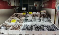 BALIKTA GÜNCEL FİYATLAR