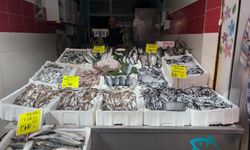 ORDU’DA BALIK FİYATLARI
