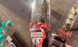 Ordu’da Orman Haftası Etkinliği