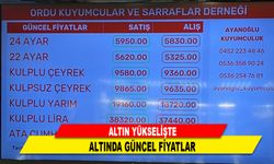 ALTIN YÜKSELİŞTE