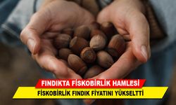 FINDIKTA FİSKOBİRLİK HAMLESİ
