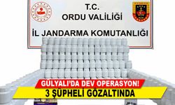 GÜLYALI’DA DEV OPERASYON! 3 ŞÜPHELİ GÖZALTINDA