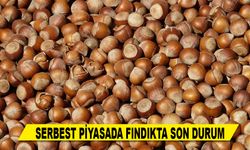 SERBEST PİYASADA FINDIKTA SON DURUM