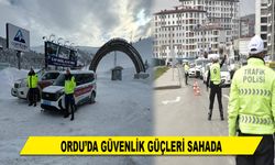 ORDU'DA GÜVENLİK GÜÇLERİ SAHADA