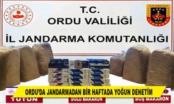 ORDU’DA JANDARMADAN BİR HAFTADA YOĞUN DENETİM