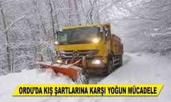 ORDU'DA IŞ ŞARTLARINA KARŞI YOĞUN MÜCADELE