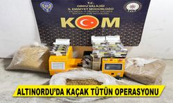 ALTINORDU’DA KAÇAK TÜTÜN OPERASYONU