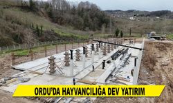 ORDU’DA HAYVANCILIĞA DEV YATIRIM