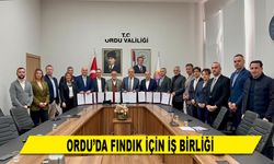 ORDU’DA FINDIK İÇİN İŞ BİRLİĞİ