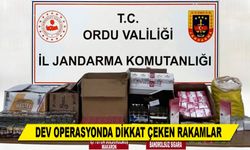 DEV OPERASYONDA DİKKAT ÇEKEN RAKAMLAR