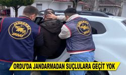ORDU’DA JANDARMADAN SUÇLULARA GEÇİT YOK