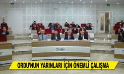 ORDU’NUN YARINLARI İÇİN ÖNEMLİ ÇALIŞMA