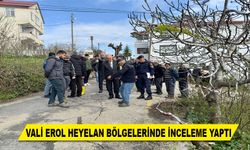 VALİ EROL HEYELAN BÖLGELERİNDE İNCELEME YAPTI