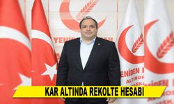 KAR ALTINDA REKOLTE HESABI