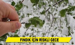 FINDIK İÇİN RİSKLİ GECE
