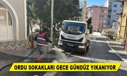 ORDU SOKAKLARI GECE GÜNDÜZ YIKANIYOR